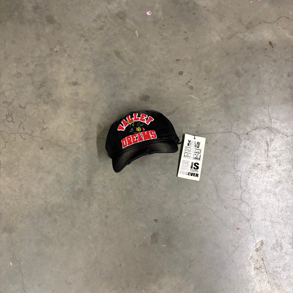 VALE “WRECKED ANTHEM” SNAPBACK